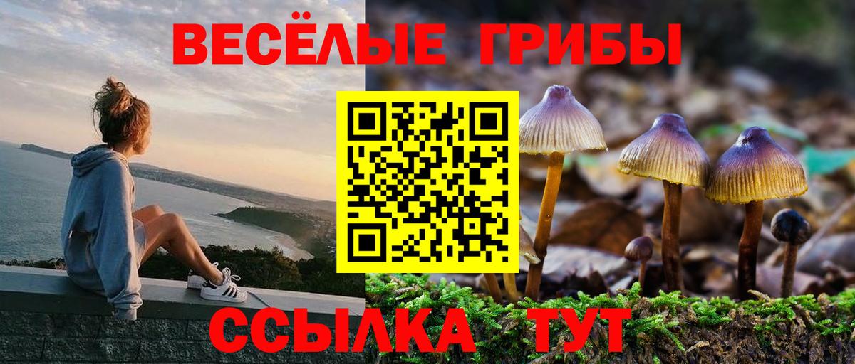Псилоцибиновые грибы прущие грибы  Псилоцибиновые грибы GOLDEN TEACHER  Вход с VPN  Бузулук 
