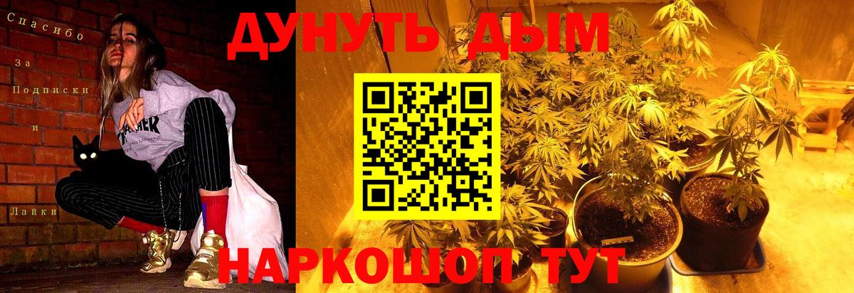 Бошки марихуана LSD WEED  Вход с VPN  Бузулук  Марихуана VHQ 